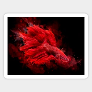 Red Betta Fish watercolor Magnet
